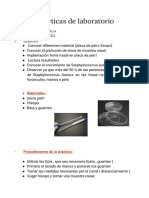 Practica Tincion de Gram