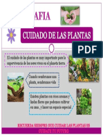 Cuidado de Las Plantas, Infografia