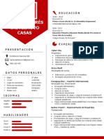 Curriculum Carlos Andres Castelnovo Casas.