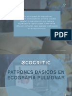 Tema 9 Patrones Básicos en Ecografía Pulmonar