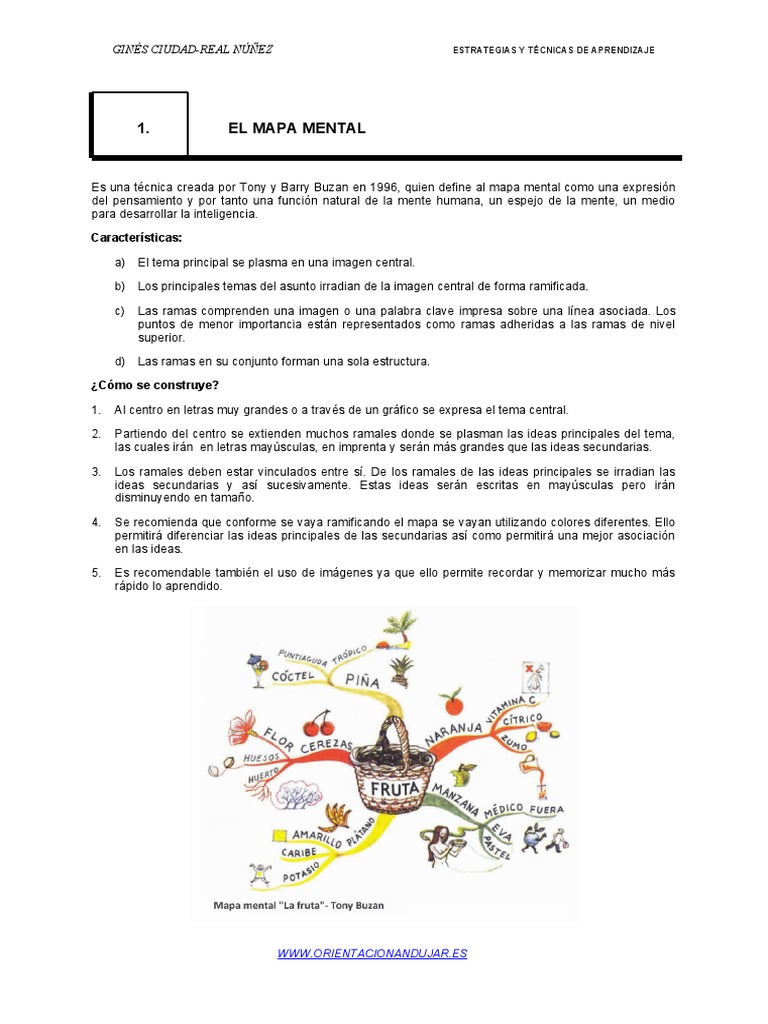 Mapa Mental | PDF