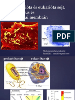 2 Pro Eukar, Sejtciklus, Membrán H