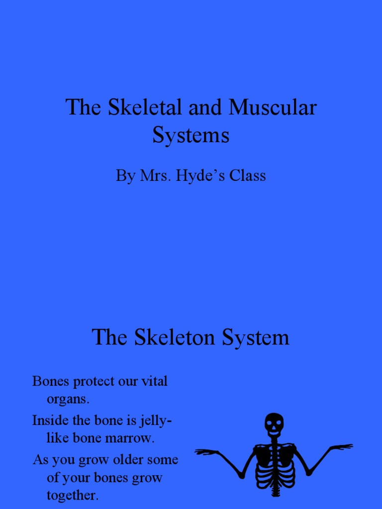 Muscular Skeletal System | PDF | Skeleton | Muscle