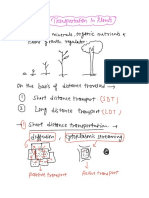 Plant Physiology