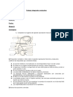 Evaluación 4to Año. - A