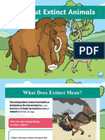 T TP 7037 Ks1 All About Extinct Animals Powerpoint Ver 1