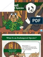 T TP 6978 Ks1 All About Endangered Species Powerpoint Ver 4