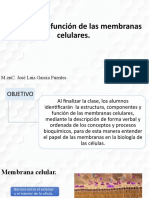 Presentación Membrana Celular