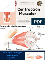 Contracción Muscular 