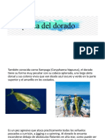 Pesca Del Dorado