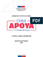 Bases CAPITAL ABEJA EMPRENDE 2022 CHILE APOYA Ñuble V°B°