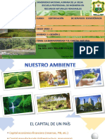 Clase 1 - El Capital Natural y La Biodiversidad (1)