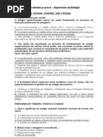 Questões - Supervisão de Estágio - Claudio