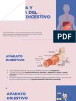 FISIOLOGIA Y ANATOMIA DEL AG (1)