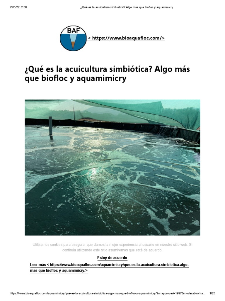 Acuicultura Simbiótica: Innovación y Sostenibilidad | PDF | Las ...