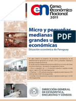 7 Micro y Pequenhas, Medianas y Grandes en Paraguay Por Sector Economico