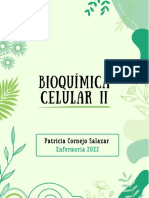 I2 Bioquimica