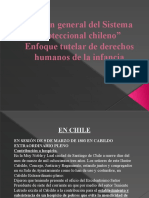 Sistema Proteccional Chileno-Enfoque DDHH