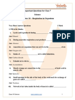 Important Questions For CBSE Class 7 Science Chapter 10