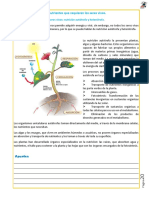 Tema Texto de Biologia 2do. Secundaria 2021