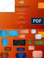 Mapa Mental Diplomado PDF