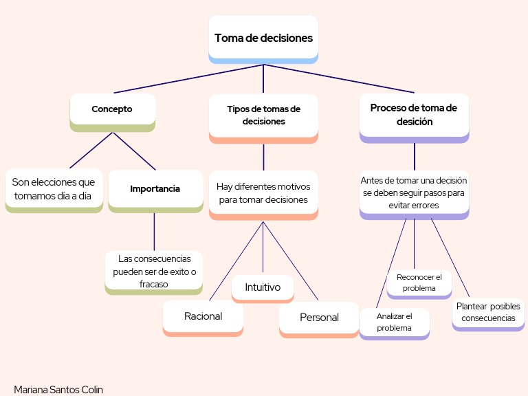 Tipos y Proceso de Toma de Decisiones | PDF