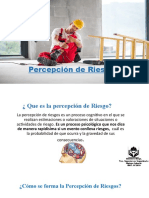 Presentacion Percepcion de Riesgo