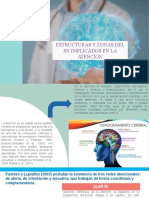 Estructuras y Zonas Del SN Implicadas en La Atención