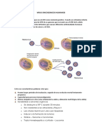 VIRUS ONCOGENICOS HUMANOS