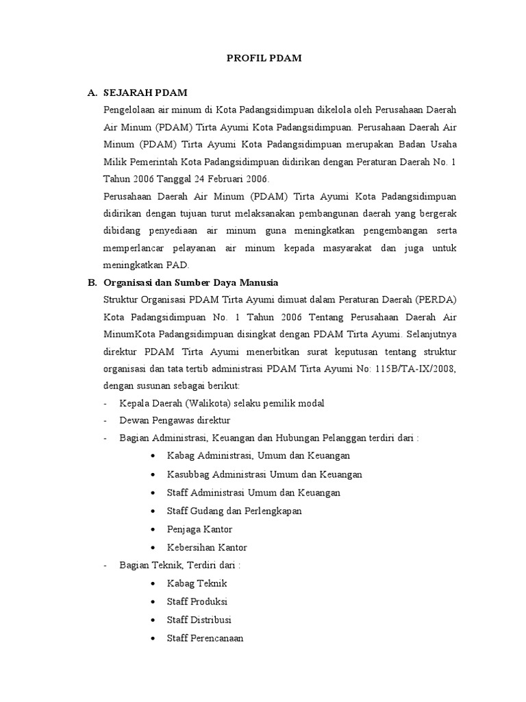Profil PDAM Tirta Ayumi Padangsidimpuan | PDF