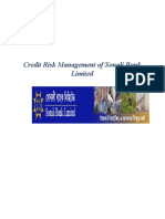 Internship Report On Credit Risk Managem