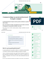 Projet Professionnel - Comment Le Faire en 4 Étapes + Exemple