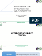 Potensi Oba MS - Fenol, Flavonoid, Tanin