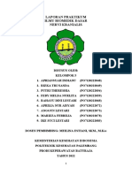 Laporan Praktikum Ibd Kel.5 2