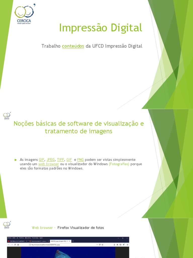 Impressão Digital Guardado Automaticamente319 PDF Pendrive