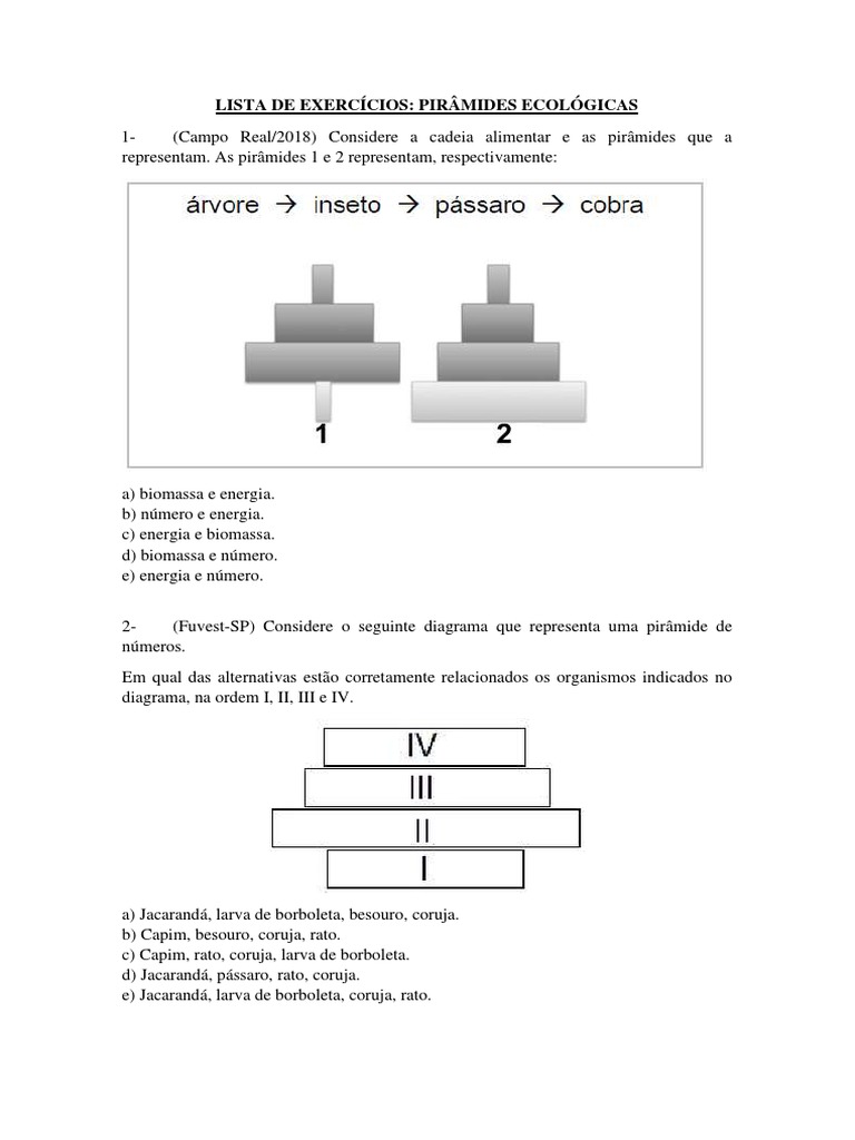 LISTA DE EXERCÍCIOS - Pirâmides Ecológicas (Aula 1) | PDF