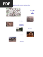 Caracterização Viseu -