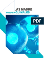 Celulas Madre Mesenquimales Biotechcells