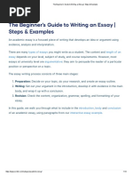 The Beginner's Guide To Writing An Essay - Steps & Examples