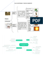 Desarrollo Sostenible y Medio Ambiente
