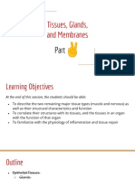 Tissues, Glands, and Membranes (Part 2)