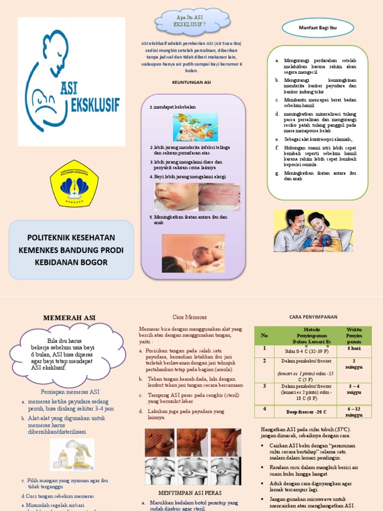 Asi Eksklusif Leaflet | PDF