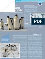 Pingüino Emperador: Especie Única del Continente Antártico