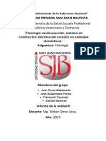 Fisiología Cardiovascular, Sistema de Conducción Eléctrica Del Corazón en Animales Domésticos