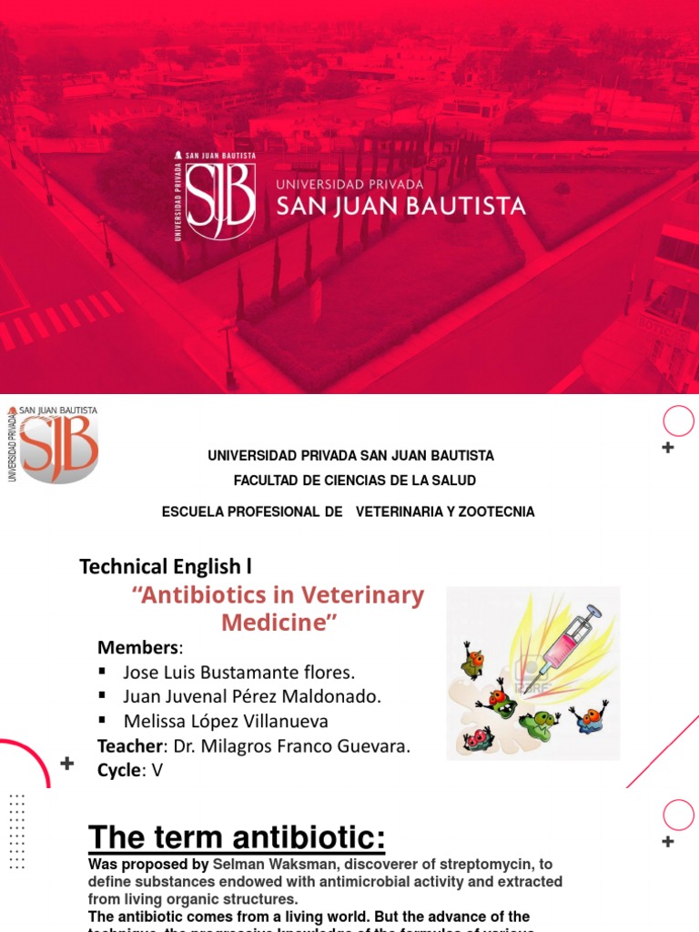 Antibiotics in Veterinary Medicine PDF