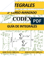 Guia de Integrales Paye Codex Avanzado