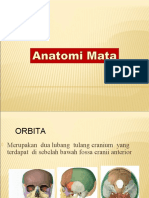 Orbita Mata