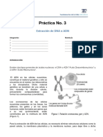 3 - PC1004 - Extracción de DNA o ADN - AD17actualizada