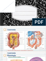 Apendicitis Aguda