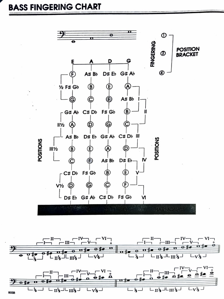 Bass Fingering Chart | PDF